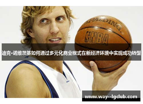 迪克·诺维茨基如何通过多元化商业模式在新经济环境中实现成功转型