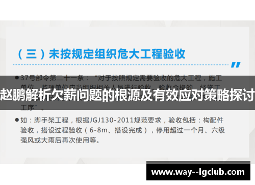 赵鹏解析欠薪问题的根源及有效应对策略探讨