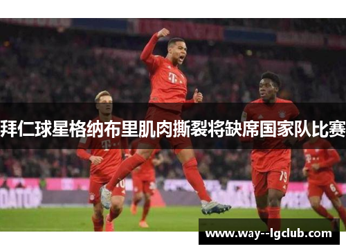 拜仁球星格纳布里肌肉撕裂将缺席国家队比赛