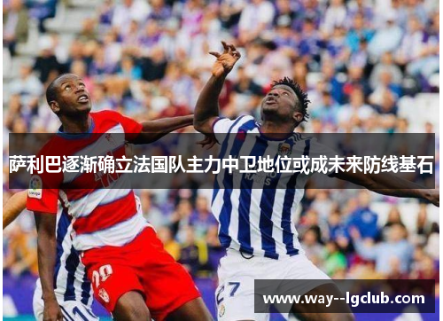 萨利巴逐渐确立法国队主力中卫地位或成未来防线基石