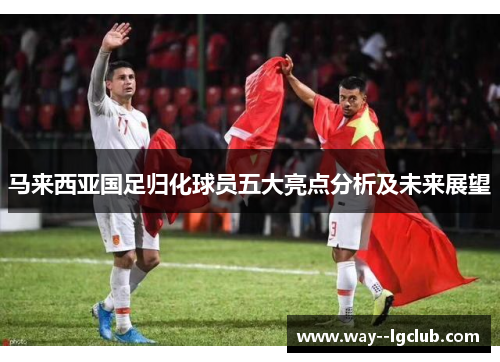 马来西亚国足归化球员五大亮点分析及未来展望