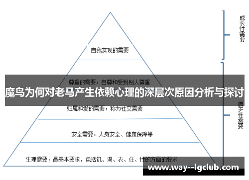 魔鸟为何对老马产生依赖心理的深层次原因分析与探讨